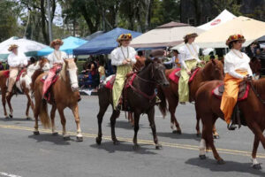 Livestream of Merrie Monarch Parade