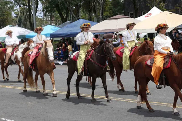 Livestream of Merrie Monarch Parade Livestream of Merrie Monarch Parade